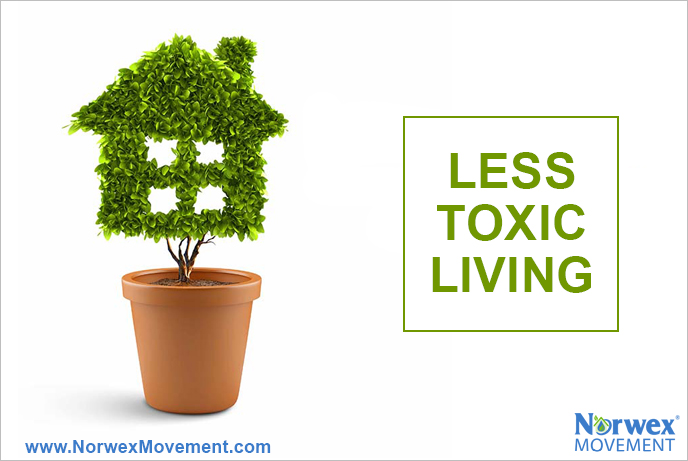 Less Toxic Living