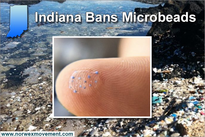 Indiana Becomes Third State to Ban Microbeads