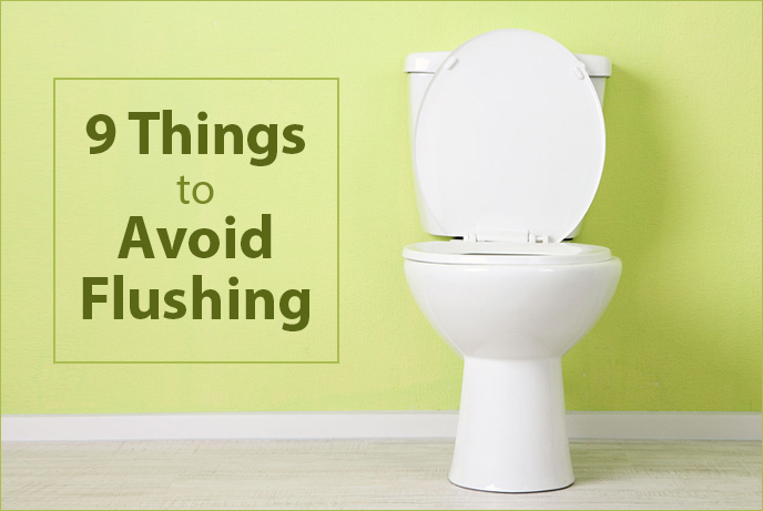 What's in a Clog? 9 Things to Avoid Flushing.