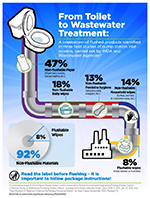 toilet_infographic_thumb