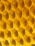 honeycomb with beeswax