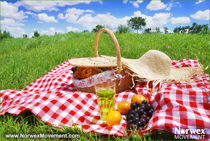 How to Make Your Next Picnic More Eco-Friendly