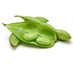 soybean-pod