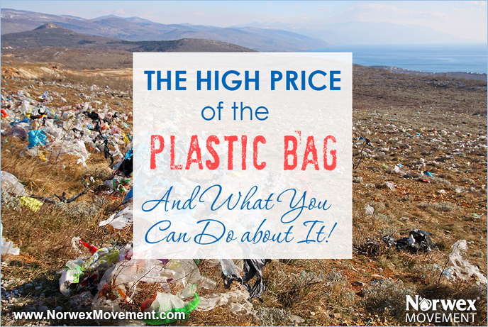 The High Price of the Plastic Bag—And What You Can Do about It!