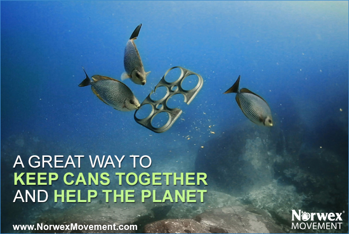 A Great Way to Keep Cans Together and Help the Planet