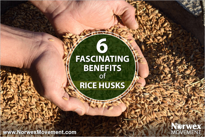6 Fascinating Benefits of Rice Husks