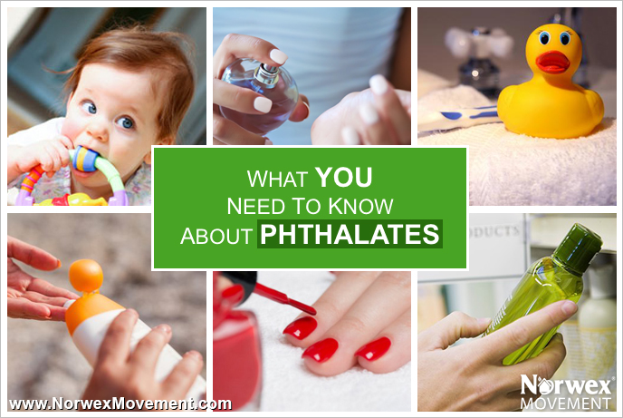 What You Need to Know About Phthalates