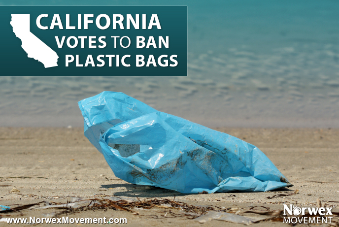 California Votes to Ban Plastic Bags!