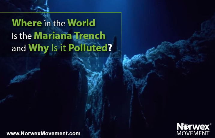 Where in the World Is the Mariana Trench and Why Is it Polluted?