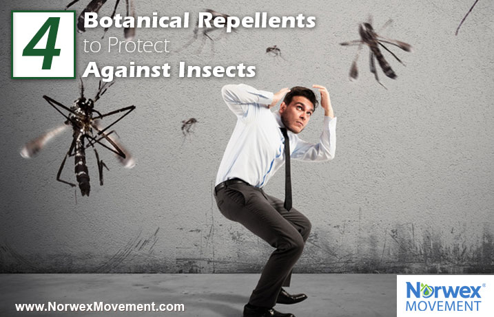 4 Botanical Repellents to Protect Against Insects