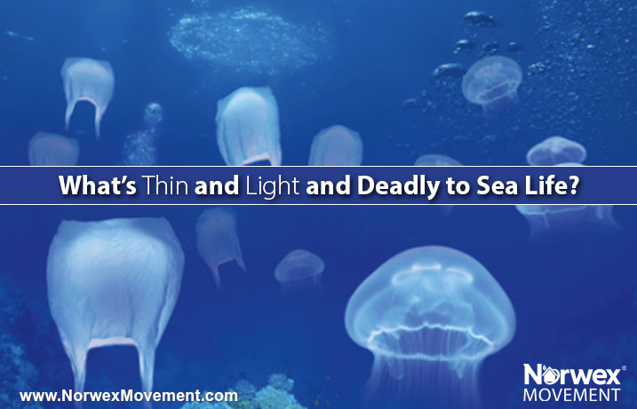 What's Thin and Light and Deadly to Sea Life?