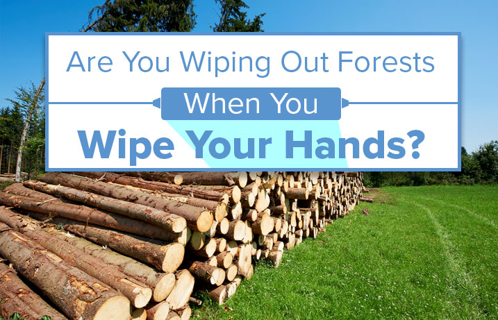 Are You Wiping Out Forests When You Wipe Your Hands?
