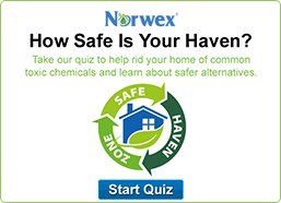 Safe Haven Quiz