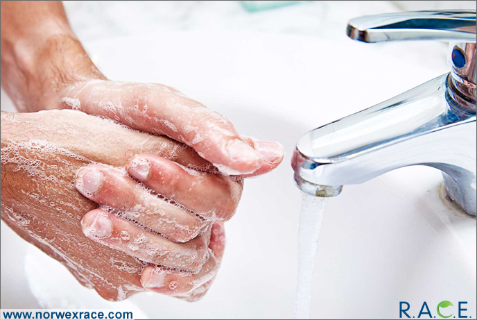 Reduce paper waste: Wash Your Hands Of (not with) Paper Towels!