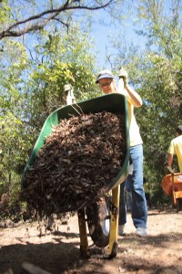 Coppel Nature Park Volunteer