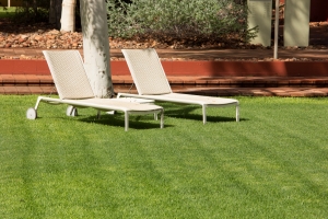 Chemical-Free Summer : Greener lawns