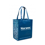 Norwex Recycled Bag