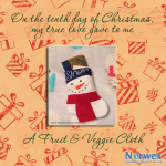 12 days of christmas -  10Norwex10thDay