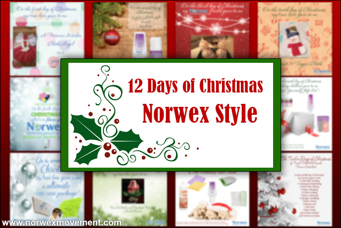 The 12 Days of Christmas, Norwex Style