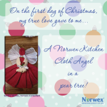 12 days of christmas - 1Norwex1stdayKitchenClothAngel