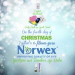 12 days of christmas -  4Norwex4thdaychristmas