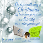 12 days of christmas -  7Norwex7th day Car Guy