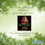 12 days of christmas -  8Norwex8thDay