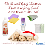 12 days of christmas -  9Norwex9thDay