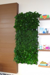 living wall