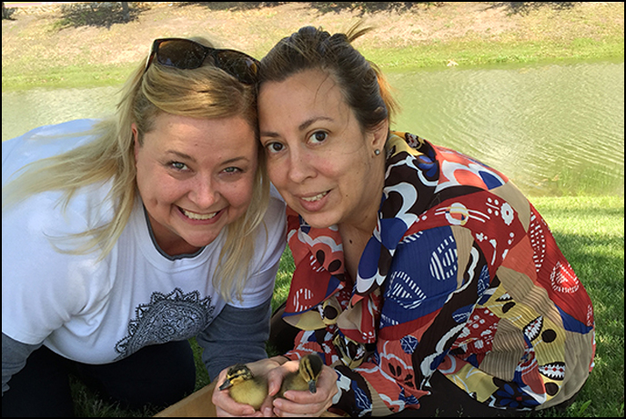 World Environment Day: The Norwex Duck Release
