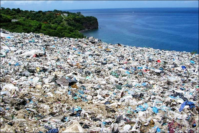 Hawaii Becomes the First State to Ban Distribution of Plastic Bags