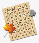 NatureBingoCards