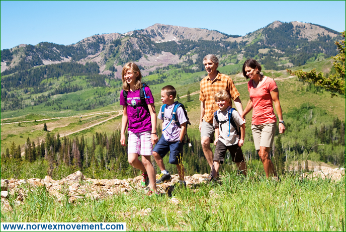 Eco-Friendly Activities for You and Your Family: Hiking
