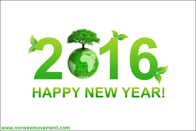 Happy New Year from NorwexMovement.com!