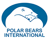 polar_bear