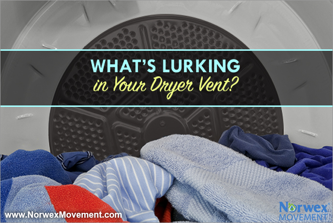 What’s Lurking in Your Dryer Vent?