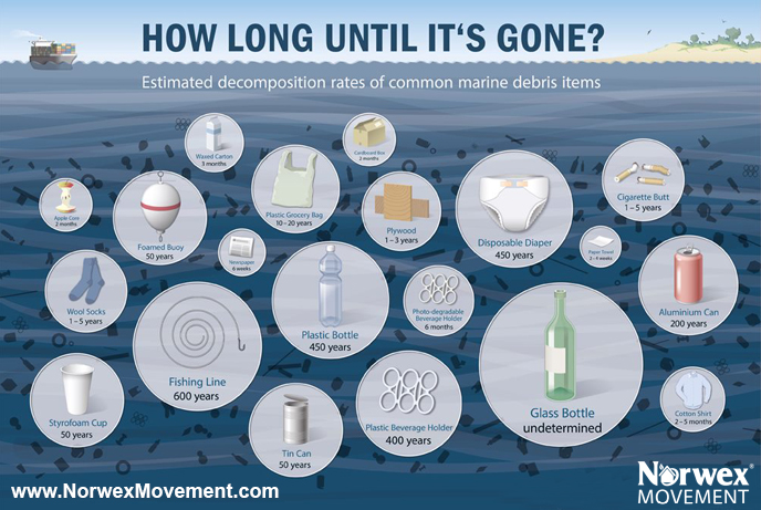 How Long Until Its Gone: Infographic