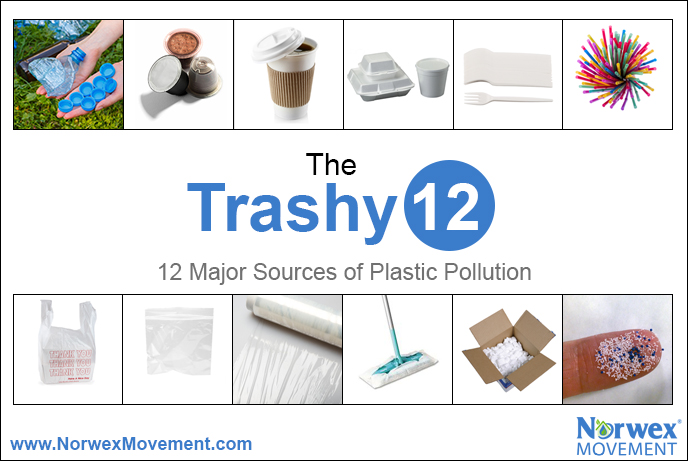 The Trashy 12 Plastic Pollutants