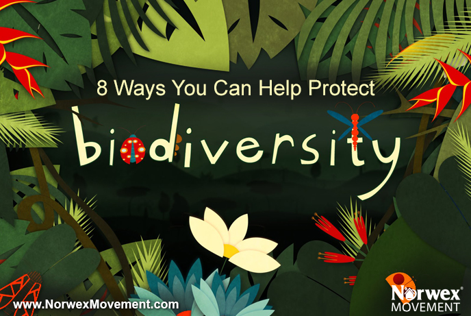 For the Beauty of the Earth: 8 Ways You Can Help Protect Biodiversity