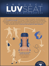 Southwest LuvSeat Infographic