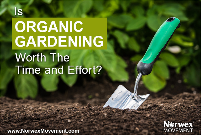 Is Organic Gardening Worth The Time and Effort?