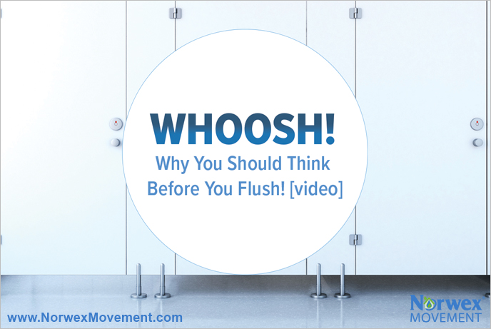 Whoosh! Why You Should Think Before You Flush! <div class=