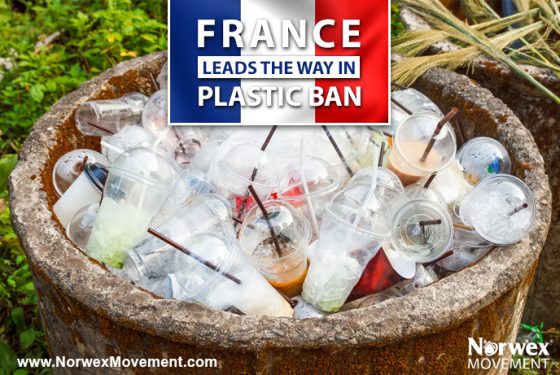 France Leads the Way in Plastic Ban