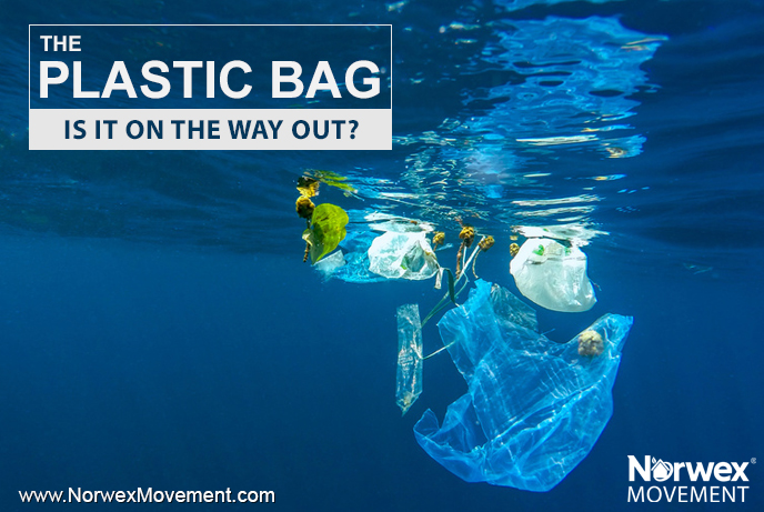 The Plastic Bag: Is it on the Way OUT?
