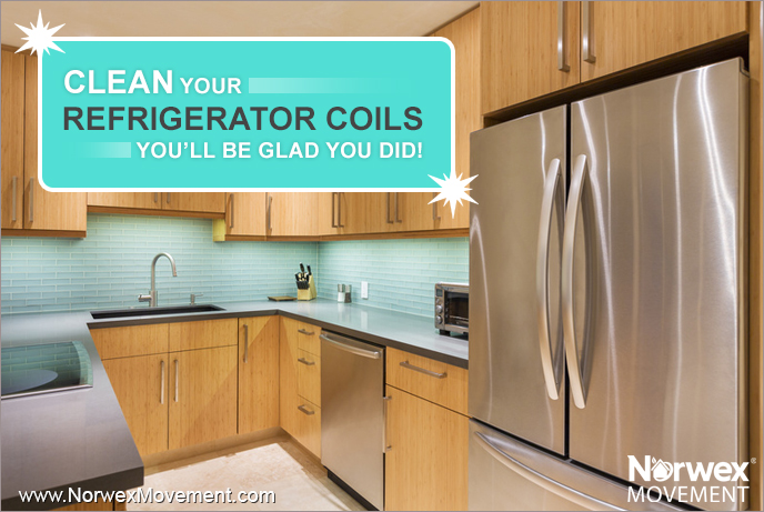 Clean Your Refrigerator Coils—You’ll Be Glad You Did!