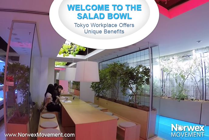 Welcome to the Salad Bowl: Tokyo Workplace Offers Unique Benefits