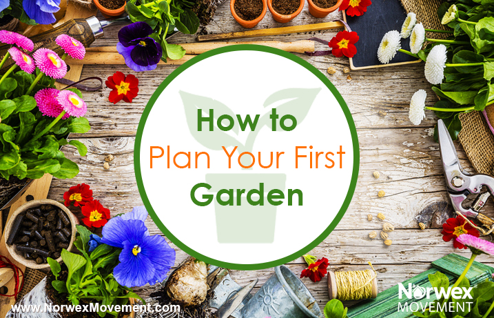 How to Plan Your First Garden 