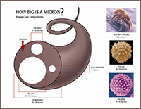 micron_infographic_thumb