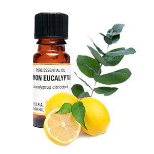 Lemon Eucalyptus Image