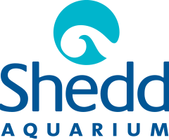 shed_logo